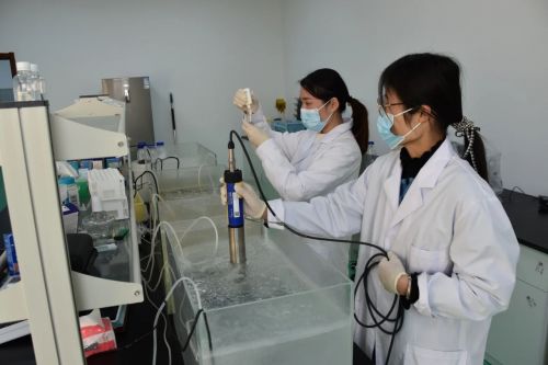 海璟水產(chǎn)榮獲全國水產(chǎn)綠色健康“五大行動(dòng)”基地稱號(hào)，科技賦能引領(lǐng)行業(yè)變革